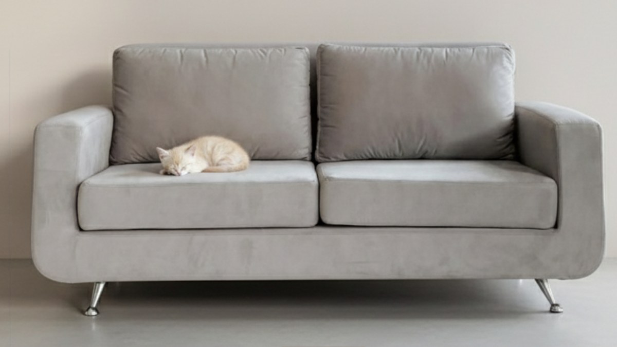 Qué tela de sillón elegir con mascotas - ID HOME